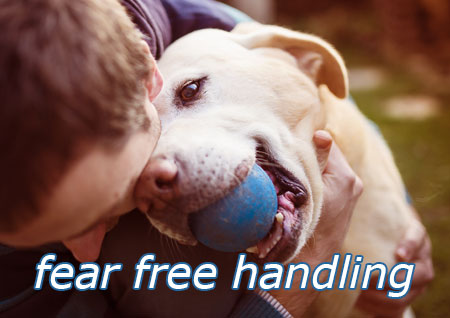 Fear Free Handling