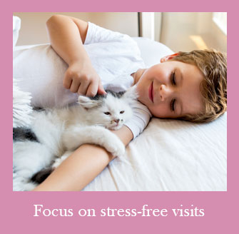 We Help Create a Stress Free Environment